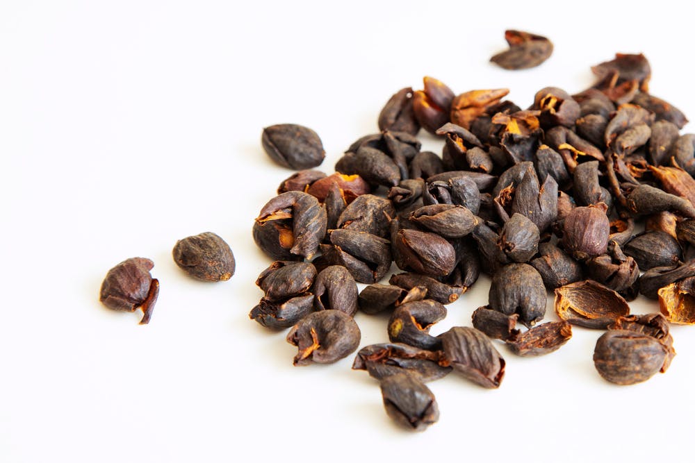 TRÀ CASCARA: BẠN BIẾT GÌ VỀ THỨC UỐNG THÚ VỊ NÀY? TRÀ CASCARA: BẠN BIẾT GÌ VỀ THỨC UỐNG THÚ VỊ NÀY?